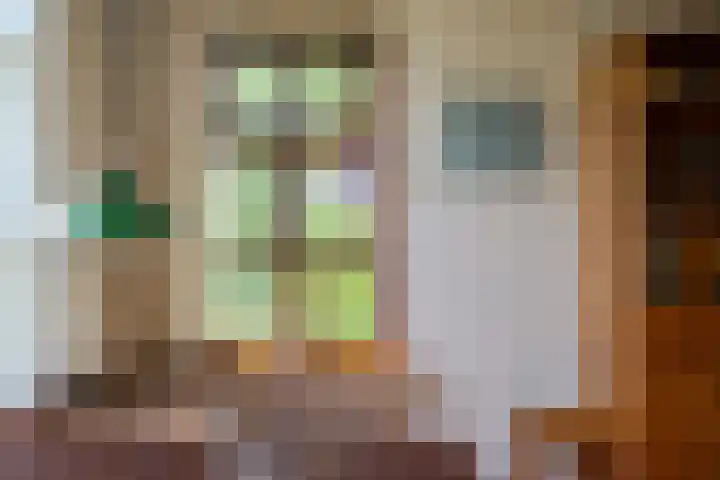 de Plasse 4 Terband thumbnail 31