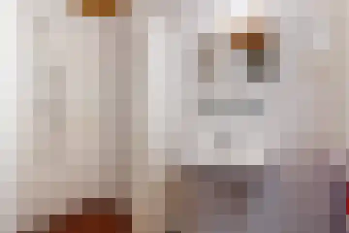 de Plasse 4 Terband thumbnail 37