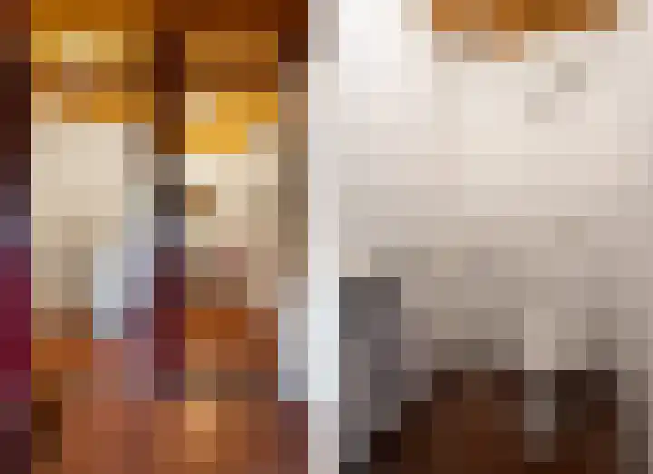 de Plasse 4 Terband thumbnail 38