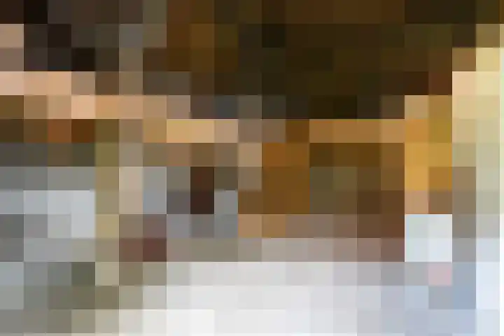 de Plasse 4 Terband thumbnail 40