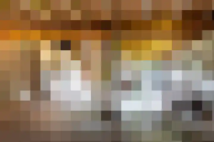 de Plasse 4 Terband thumbnail 42