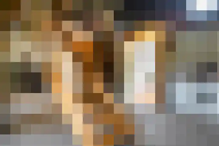 de Plasse 4 Terband thumbnail 43