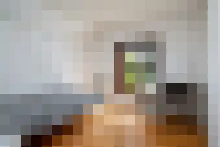 de Plasse 4 Terband thumbnail 44