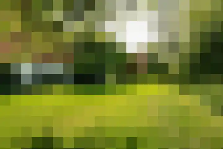 de Plasse 4 Terband thumbnail 5