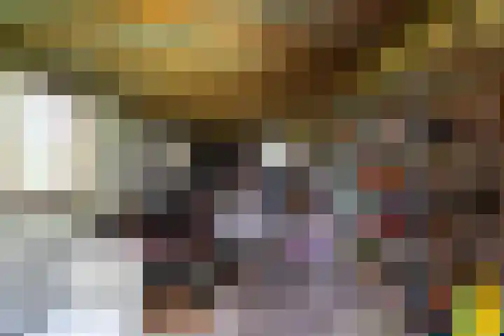 de Plasse 4 Terband thumbnail 50