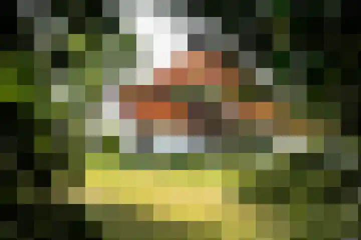 de Plasse 4 Terband thumbnail 51