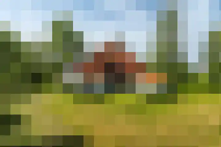 de Plasse 4 Terband thumbnail 53
