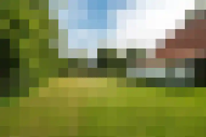 de Plasse 4 Terband thumbnail 54