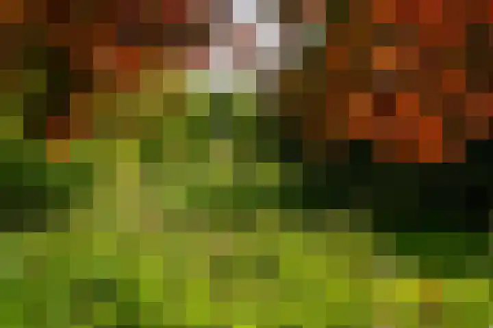 de Plasse 4 Terband thumbnail 57