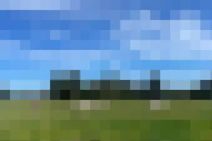 de Plasse 4 Terband thumbnail 60