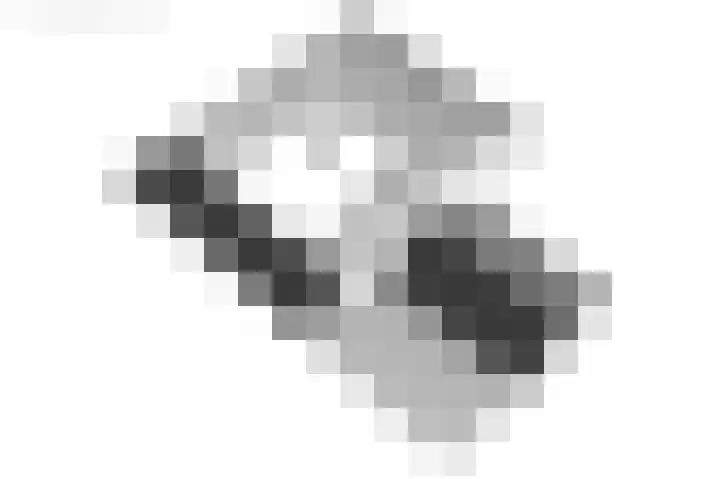 de Plasse 4 Terband thumbnail 67