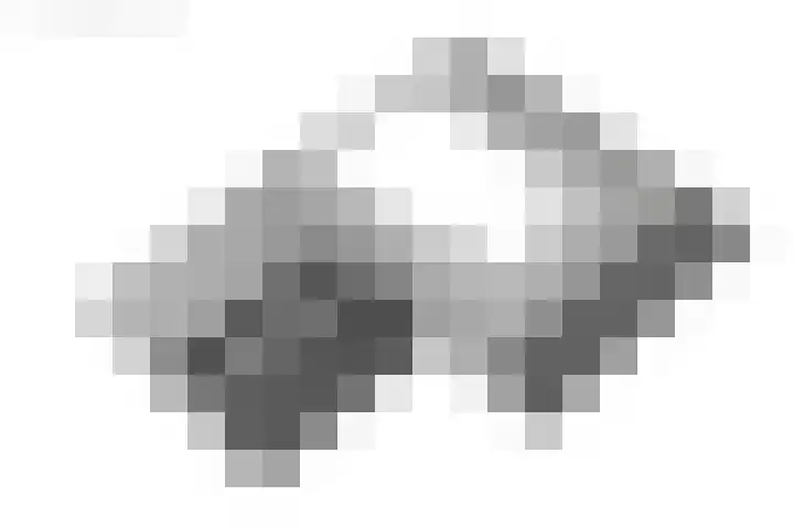 de Plasse 4 Terband thumbnail 68