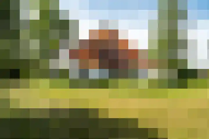 de Plasse 4 Terband thumbnail 70