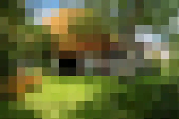 de Plasse 4 Terband thumbnail 9