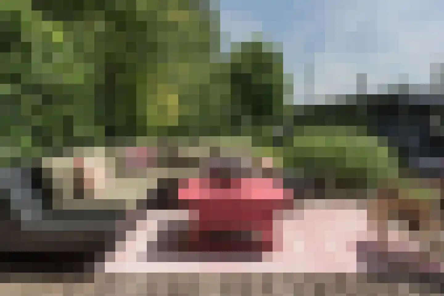 De Plassen Noord 103 a Breukelen thumbnail 20