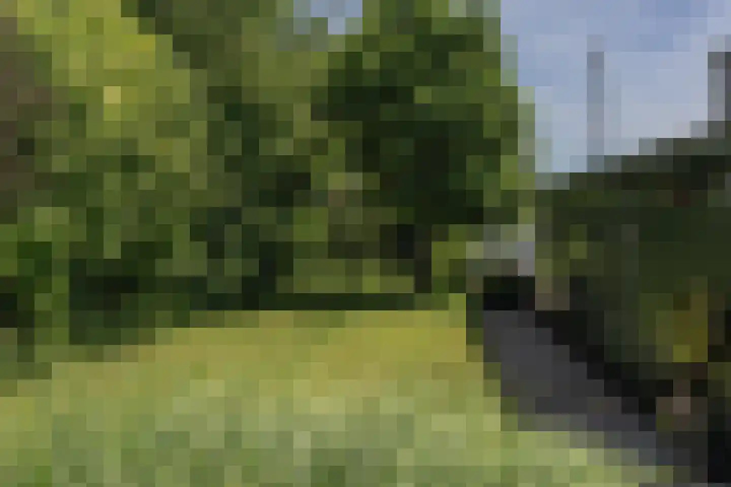 De Plassen Noord 103 a Breukelen thumbnail 34