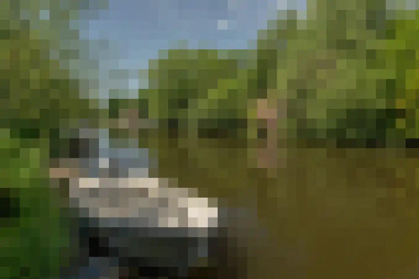 De Plassen Noord 103 a Breukelen thumbnail 35