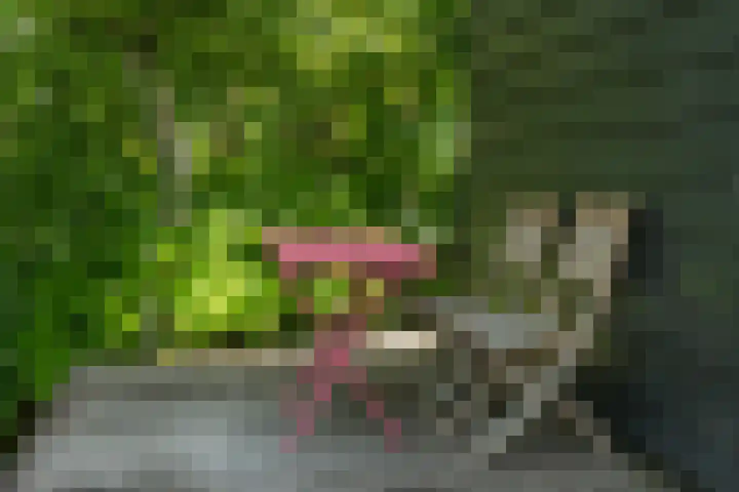 De Plassen Noord 103 a Breukelen thumbnail 36