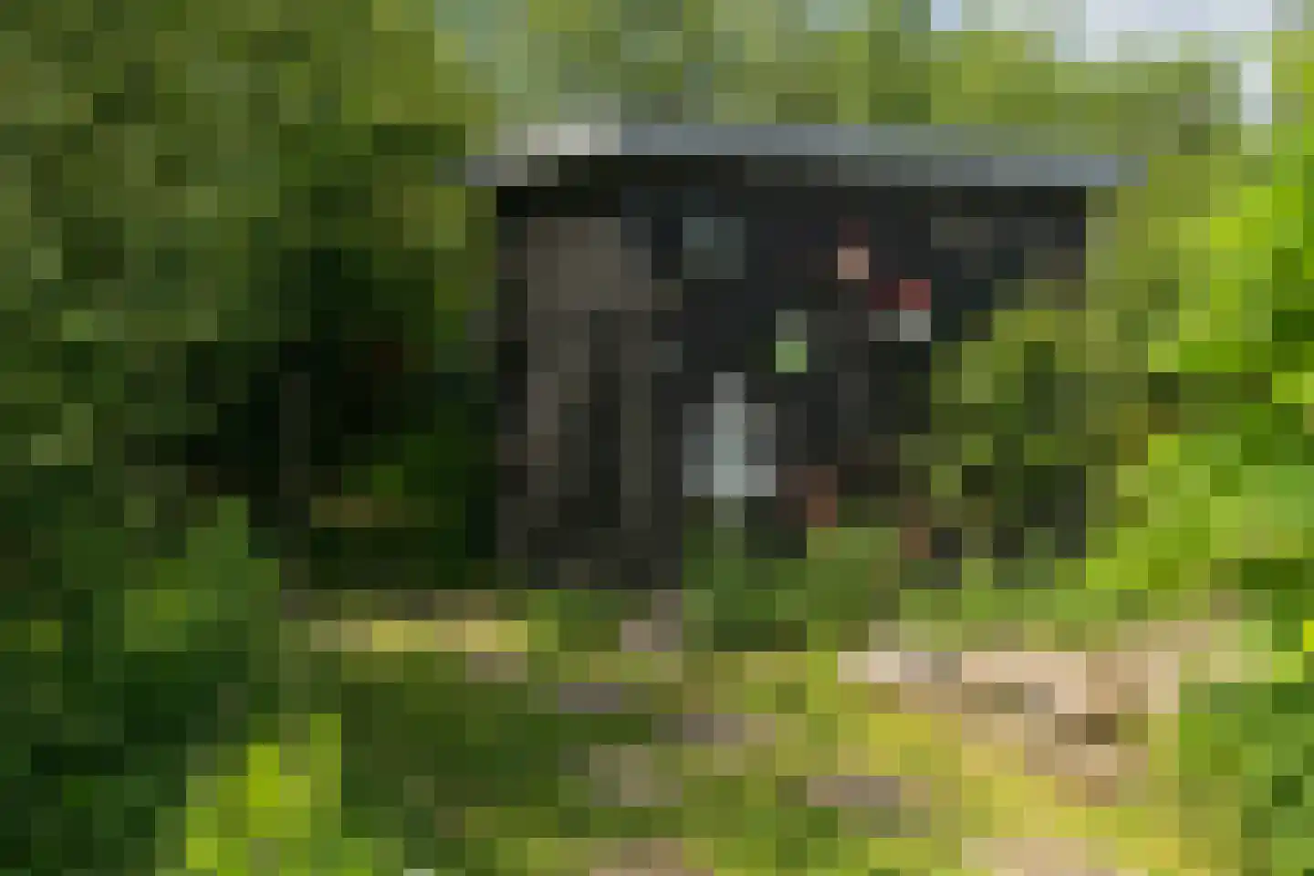 De Plassen Noord 103 a Breukelen thumbnail 37