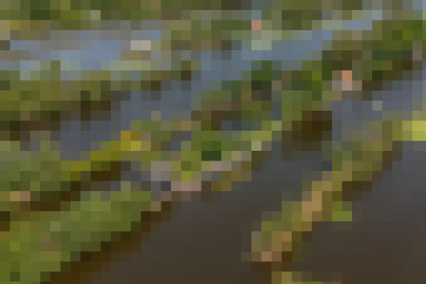 De Plassen Noord 103 a Breukelen thumbnail 43