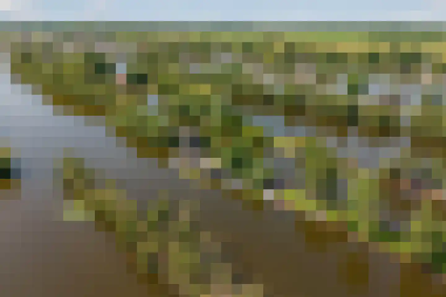 De Plassen Noord 103 a Breukelen thumbnail 45