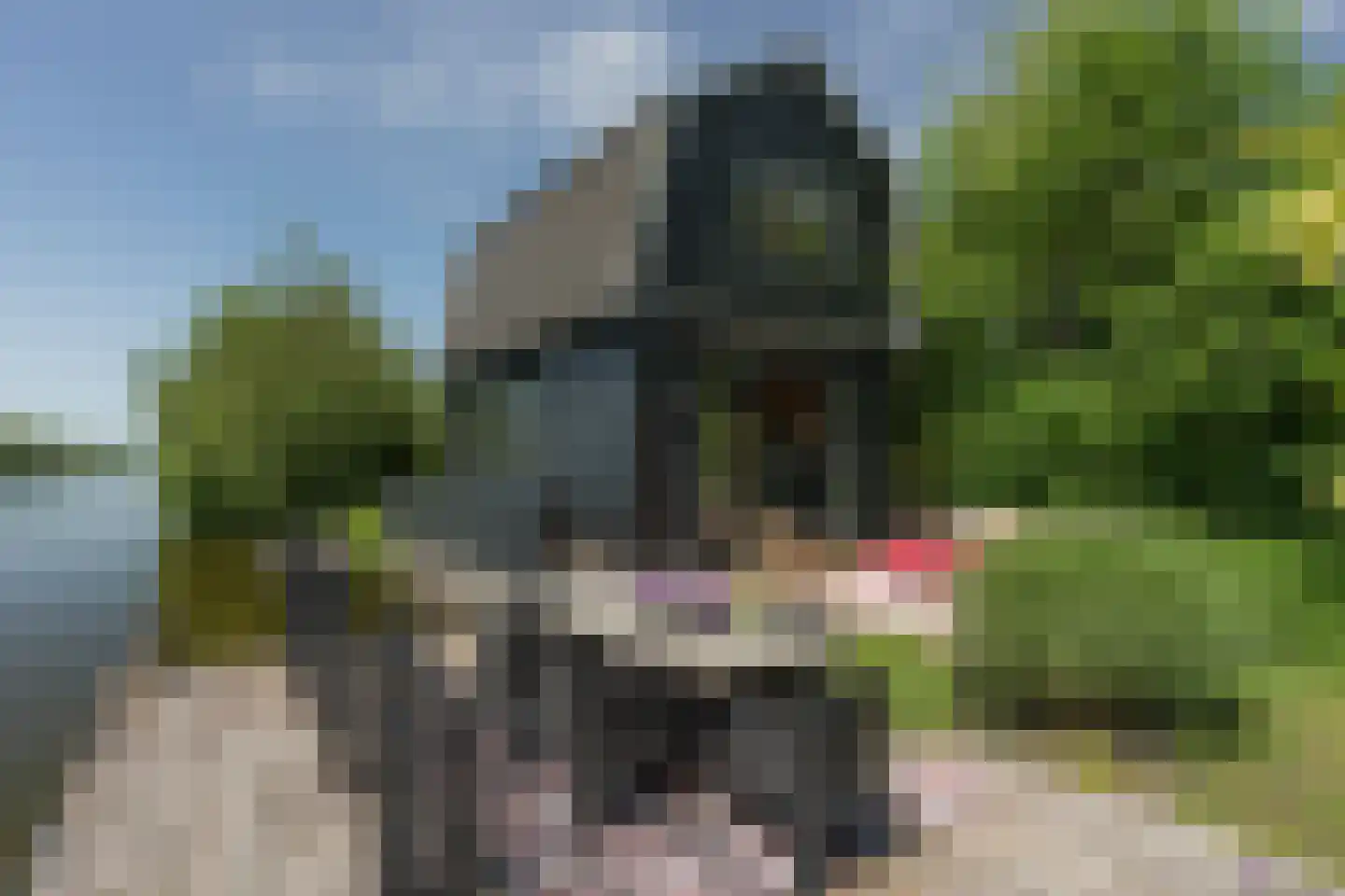 De Plassen Noord 103 a Breukelen thumbnail 6