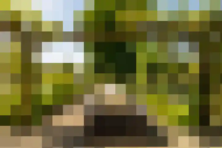 De Plassen Noord 104 Breukelen thumbnail 22