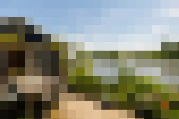De Plassen Noord 104 Breukelen thumbnail 23