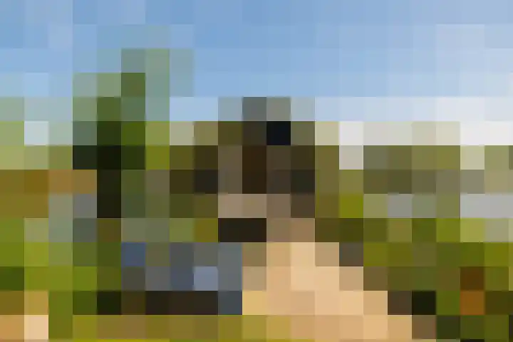De Plassen Noord 104 Breukelen thumbnail 24