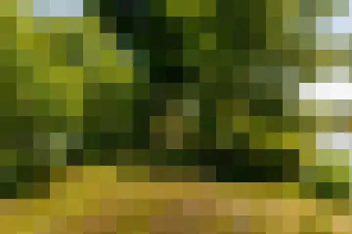 De Plassen Noord 104 Breukelen thumbnail 25