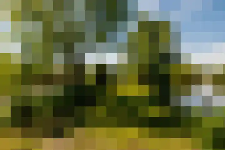 De Plassen Noord 104 Breukelen thumbnail 26