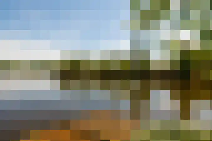 De Plassen Noord 104 Breukelen thumbnail 27