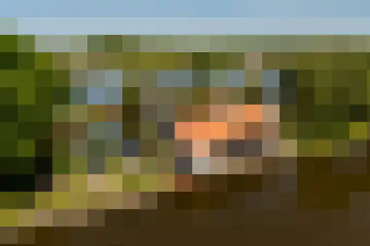 De Plassen Noord 104 Breukelen thumbnail 29