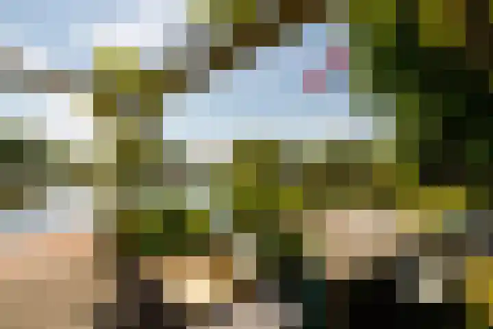 De Plassen Noord 104 Breukelen thumbnail 4
