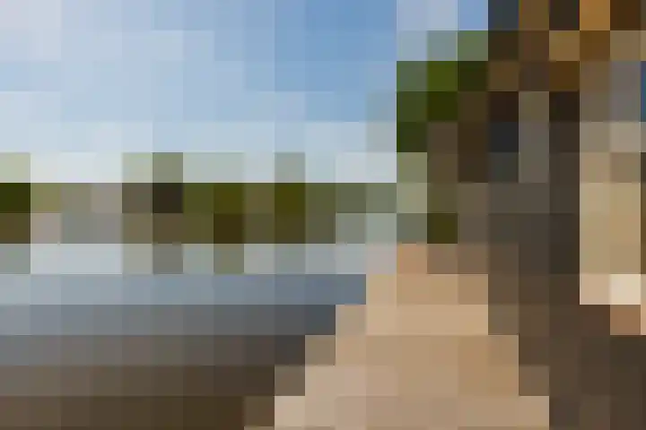 De Plassen Noord 104 Breukelen thumbnail 5