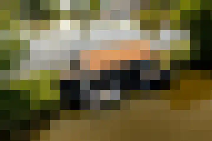 De Plassen Noord 104 Breukelen thumbnail 6