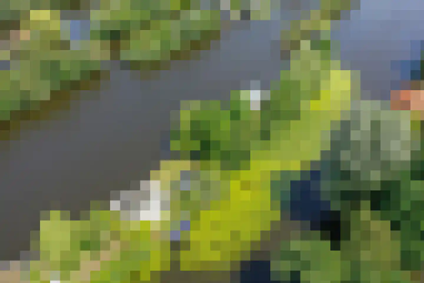 De Plassen Noord 112 Breukelen thumbnail 22