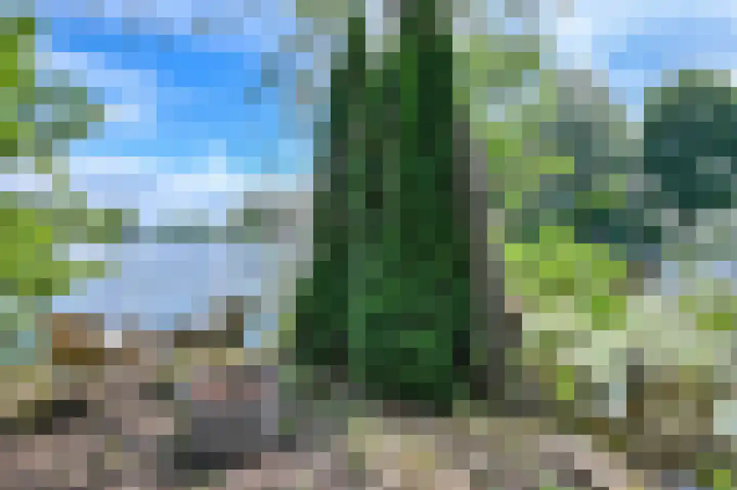 De Plassen Noord 112 Breukelen thumbnail 4