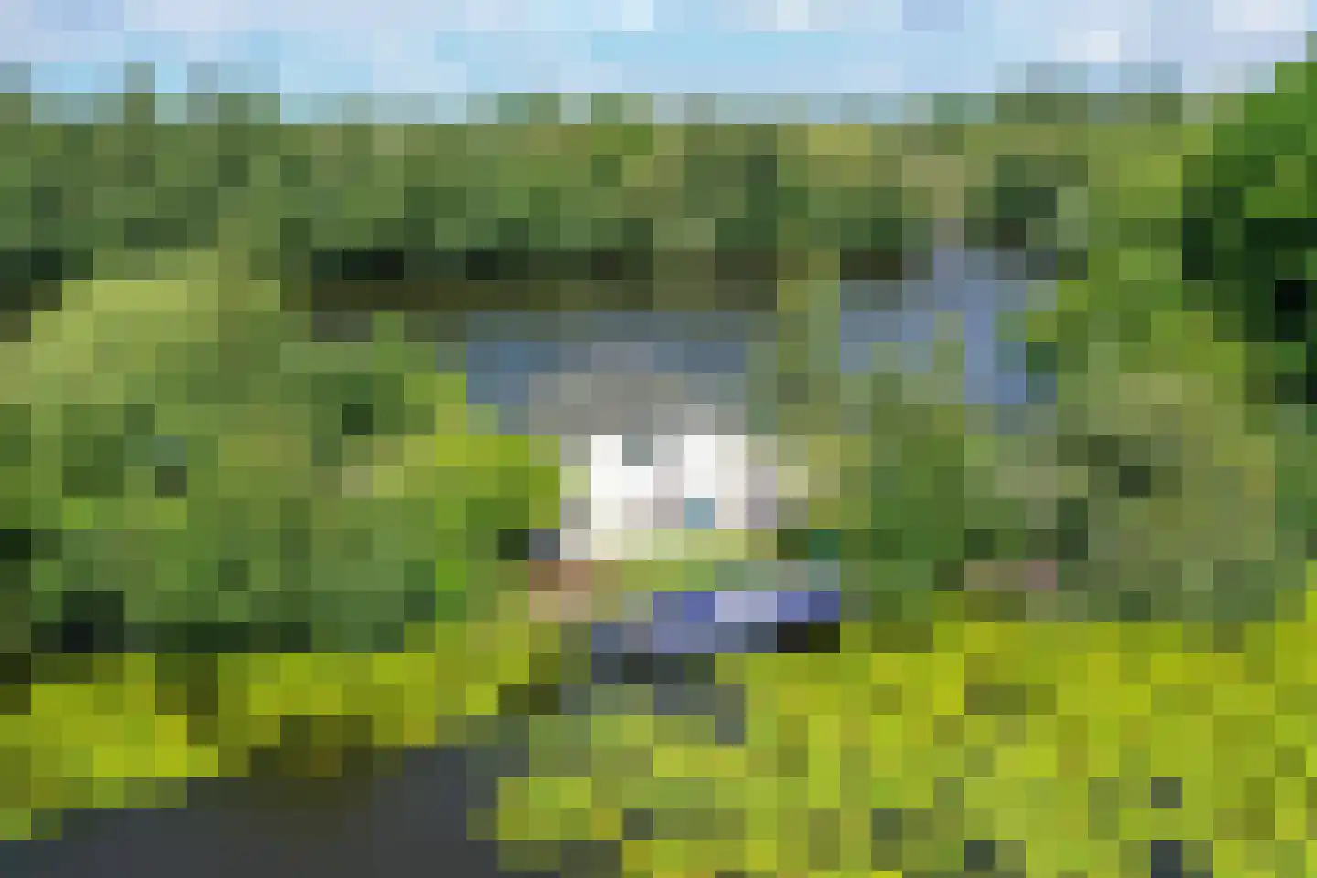 De Plassen Noord 112 Breukelen thumbnail 6