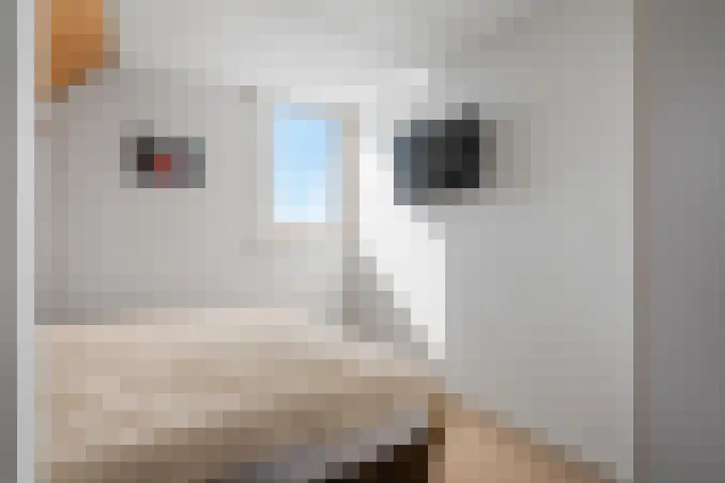 De Plassen Noord 120 Breukelen thumbnail 17