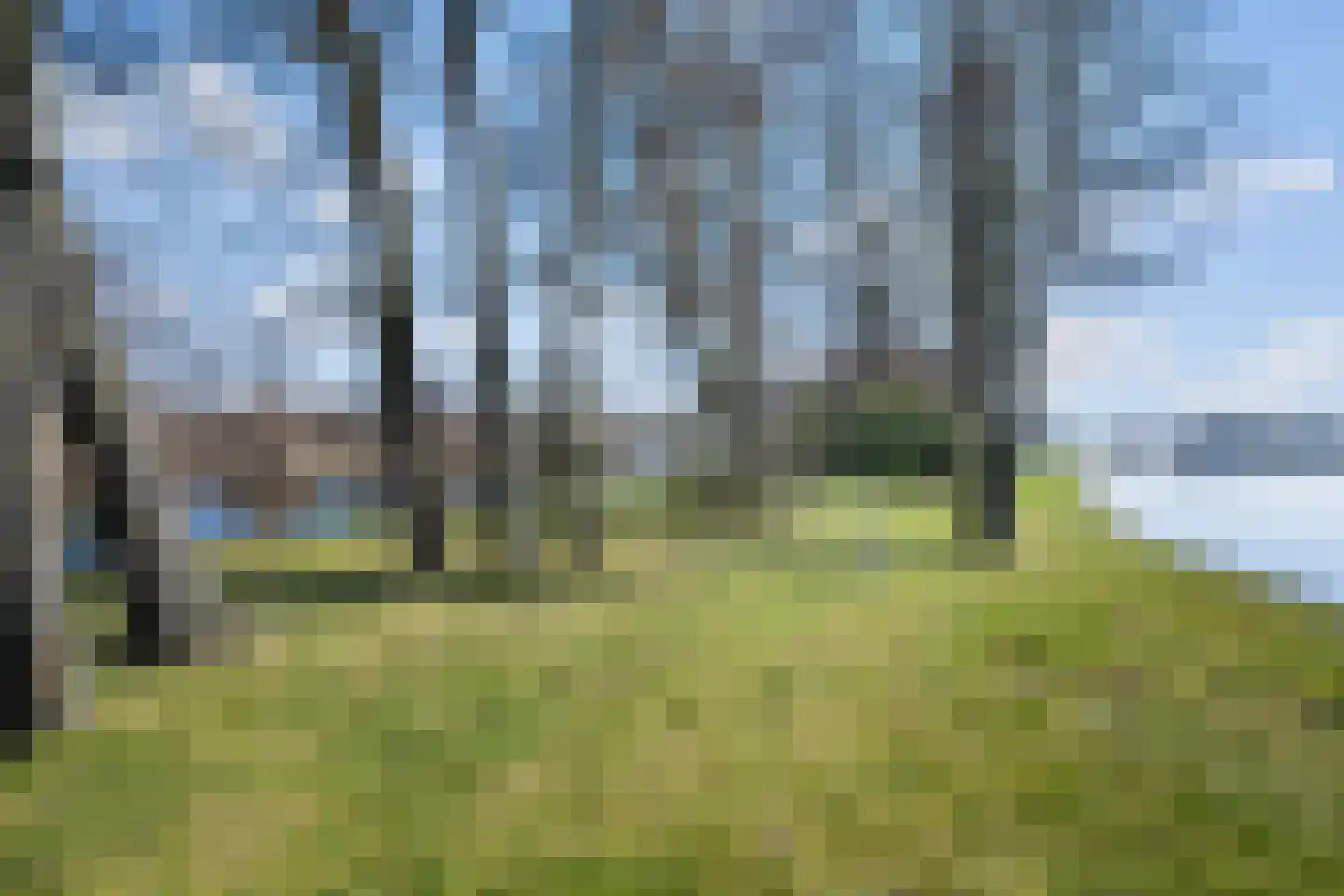 De Plassen Noord 120 Breukelen thumbnail 28