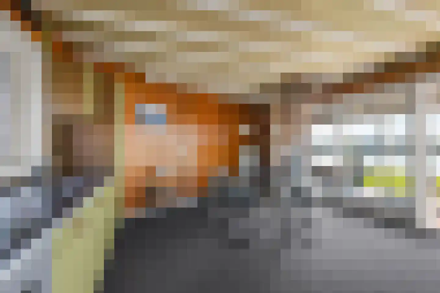 De Plassen Noord 120 Breukelen thumbnail 6