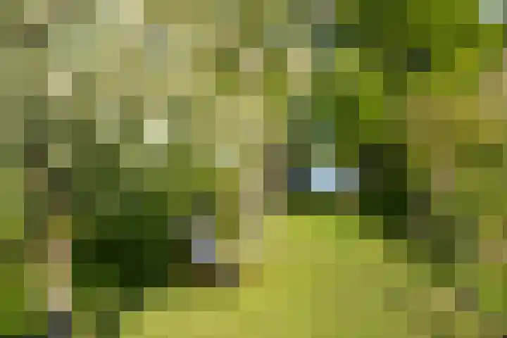 De Plassen Noord 160 Breukelen thumbnail 18