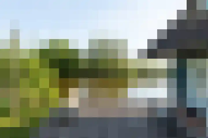 De Plassen Noord 160 Breukelen thumbnail 19