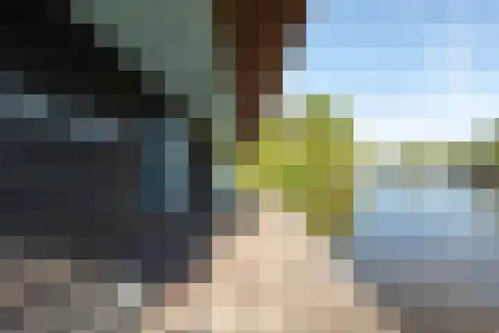 De Plassen Noord 160 Breukelen thumbnail 21