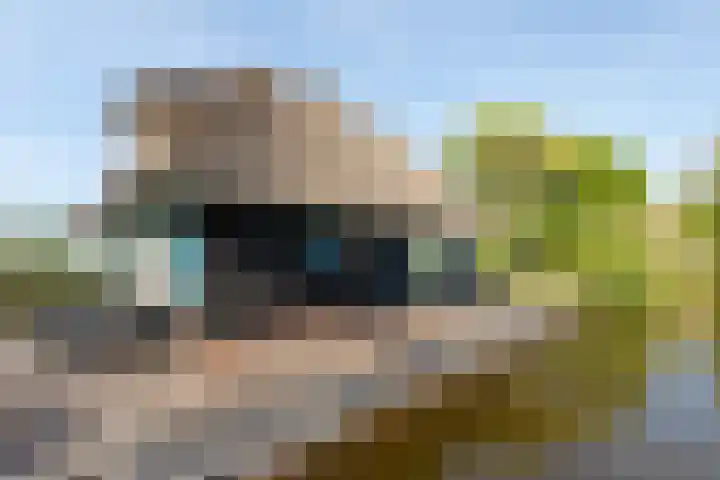 De Plassen Noord 160 Breukelen thumbnail 22