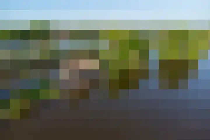 De Plassen Noord 160 Breukelen thumbnail 24