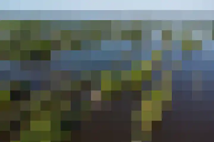 De Plassen Noord 160 Breukelen thumbnail 25
