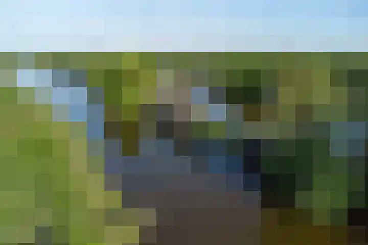 De Plassen Noord 160 Breukelen thumbnail 29