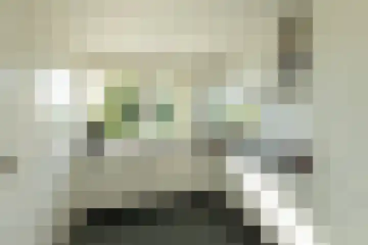 De Plassen Noord 160 Breukelen thumbnail 9